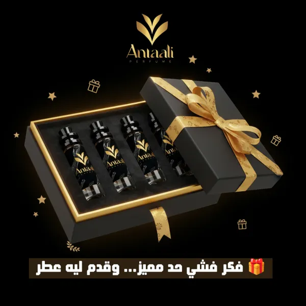 باك الفخامة والباك ديالك غير بـ200 درهم! 💥