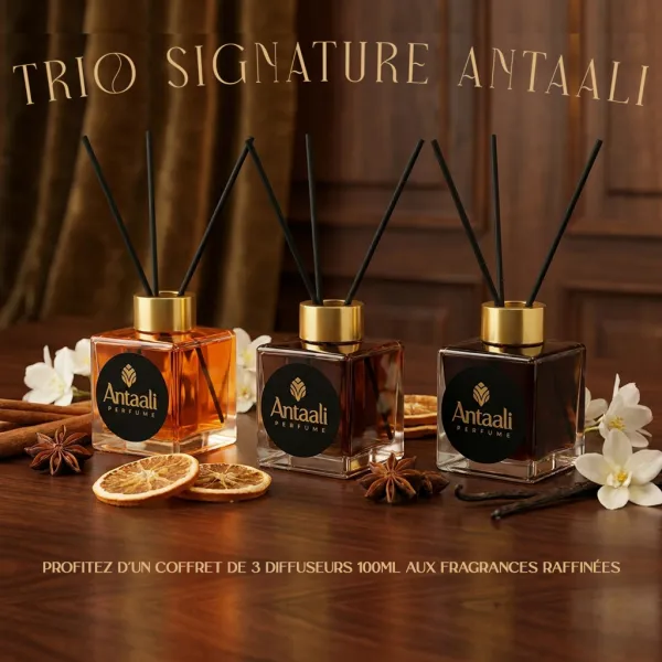 ANTAALI Maison Trio